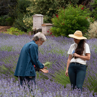 LAVENDER HYDROSOL